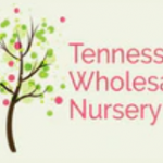 Tennessee Wholesale Nursery LLC