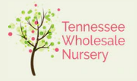 Tennessee Wholesale Nursery LLC