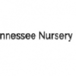Tennessee Wholesale Nursery LLC
